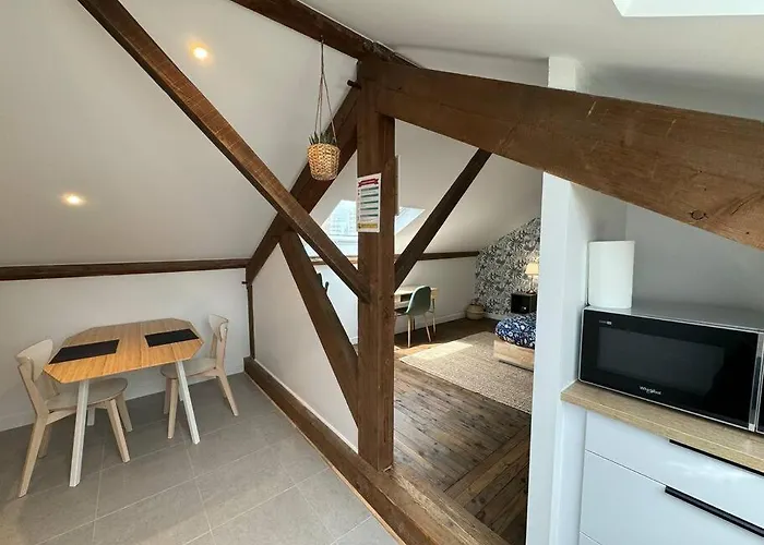 Magnifique Studio Spacieux Climatise 3 Pradelle